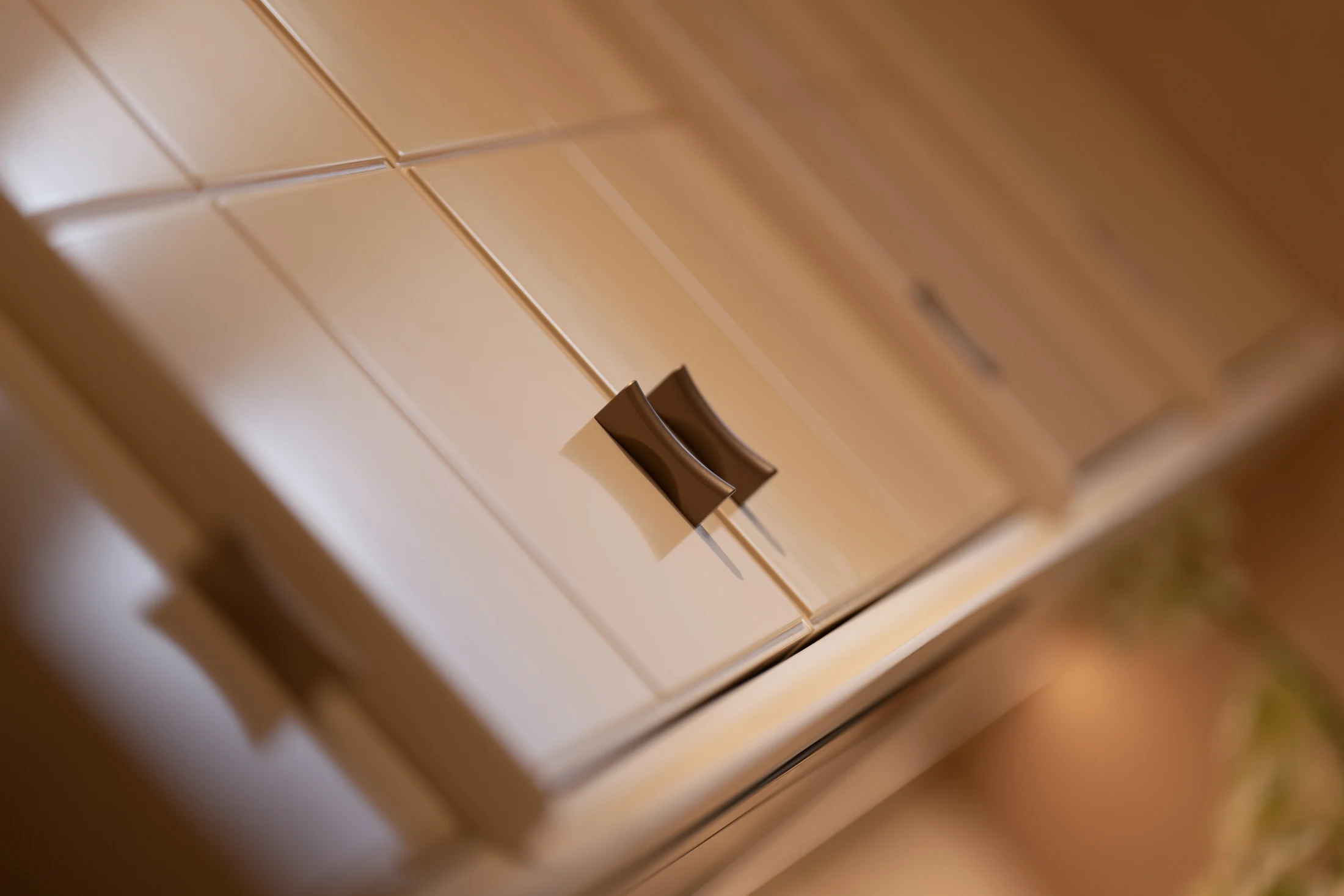 Cabinet hardware and connection detail